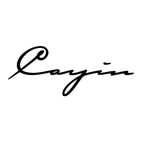 CAYIN 凱音