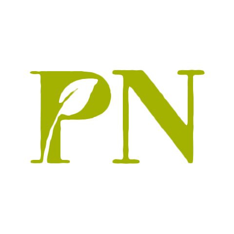 PN 楓年