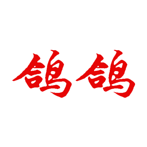 鴿鴿
