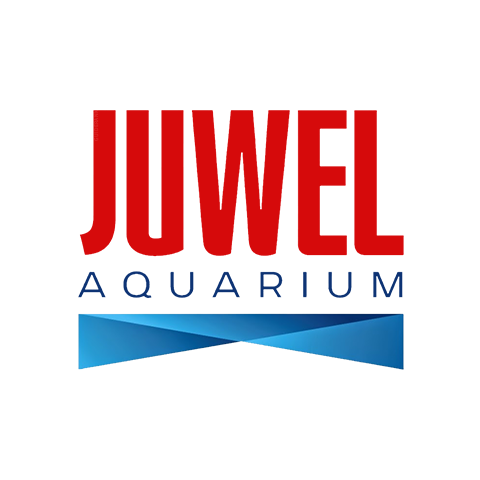 Juwel 黑鉆