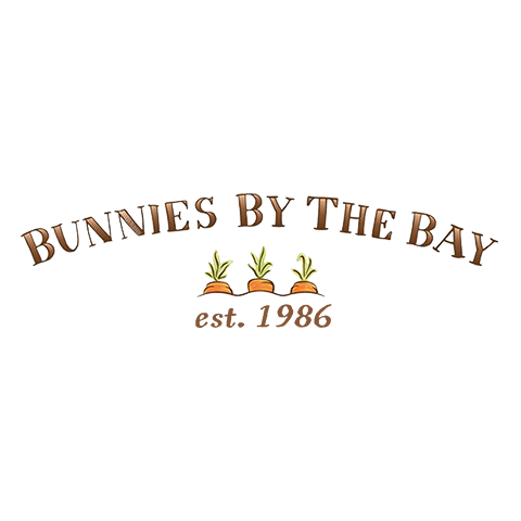 Bunnies By The Bay 海灣兔