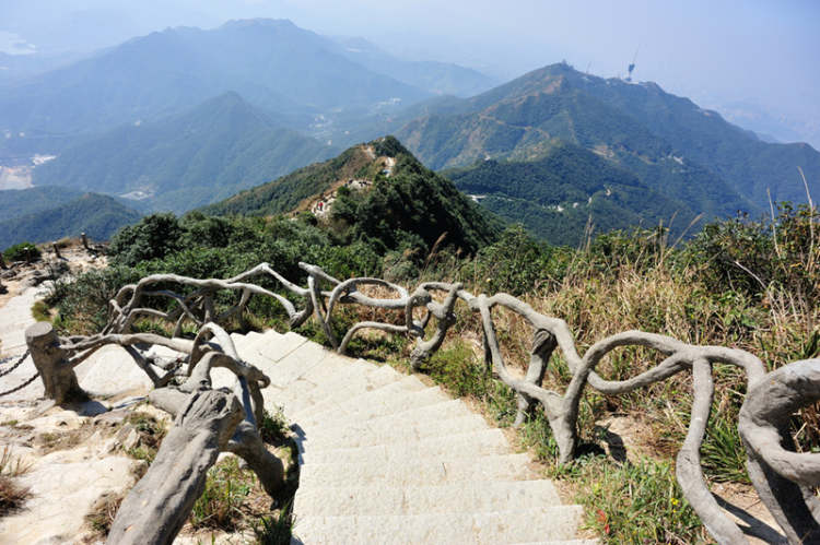 梧桐山