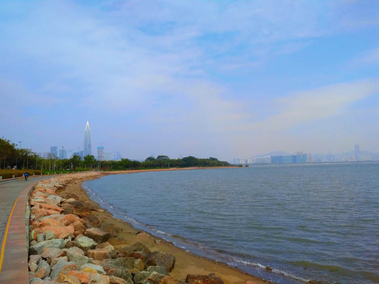 深圳灣公園