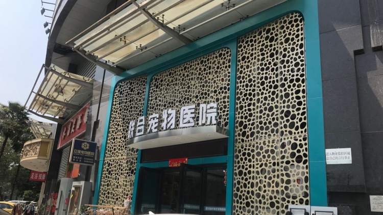 聯合寵物醫院