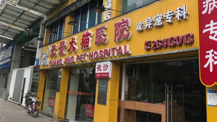 光景犬貓專科醫院