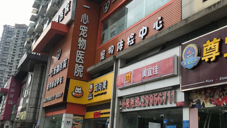 一心寵物醫院