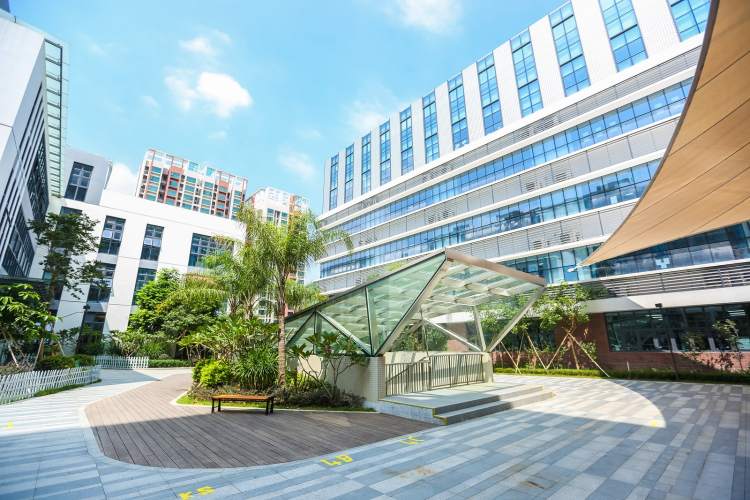 深圳南山國際學校