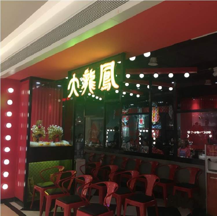 大龍鳳雞煲