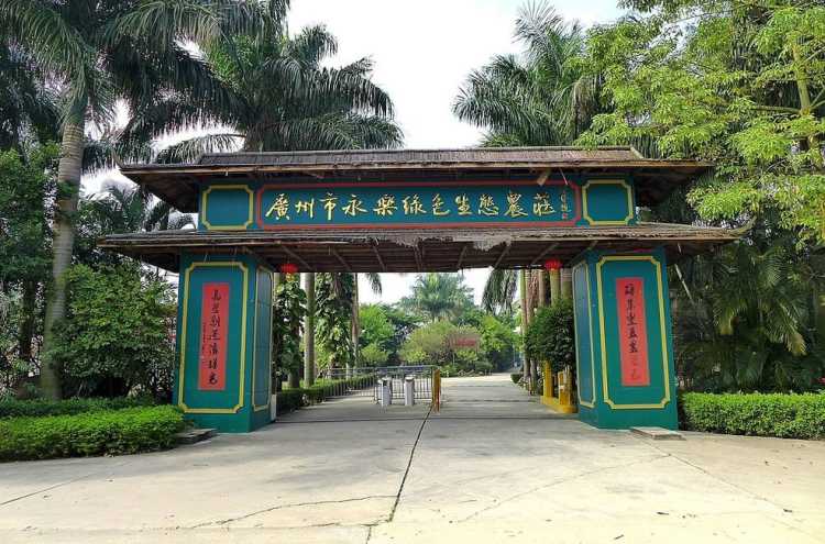 永樂綠色生態(tài)農(nóng)莊