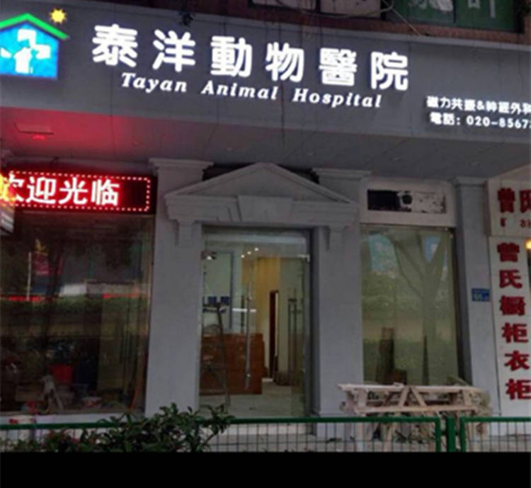 泰洋動物醫院