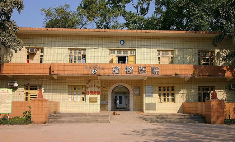 華南農業大學動物醫院