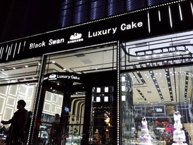 Black Swan黑天鵝