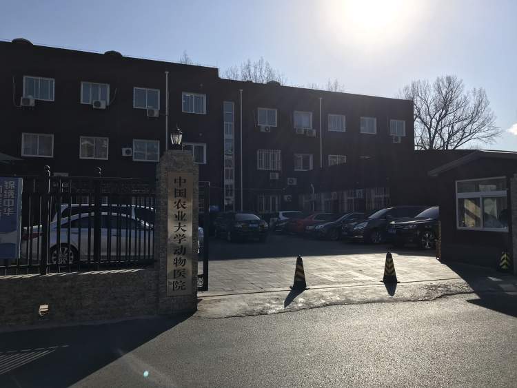 中國農業大學動物醫院