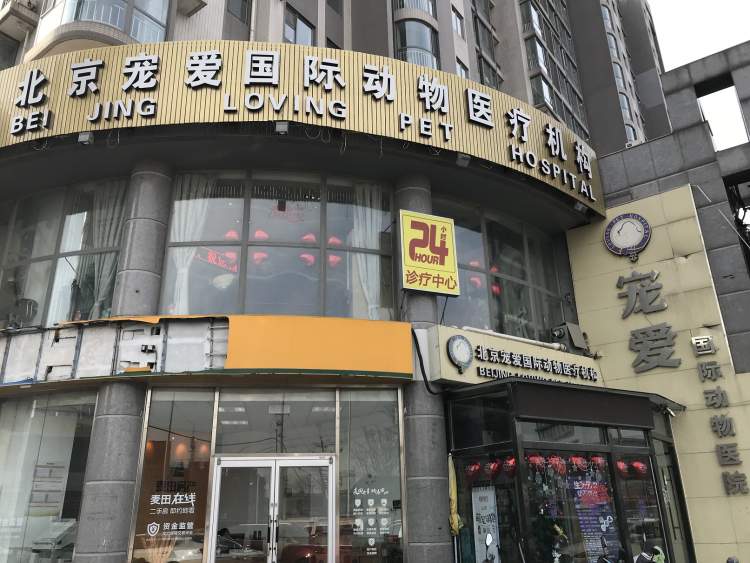 寵愛國際動物醫院