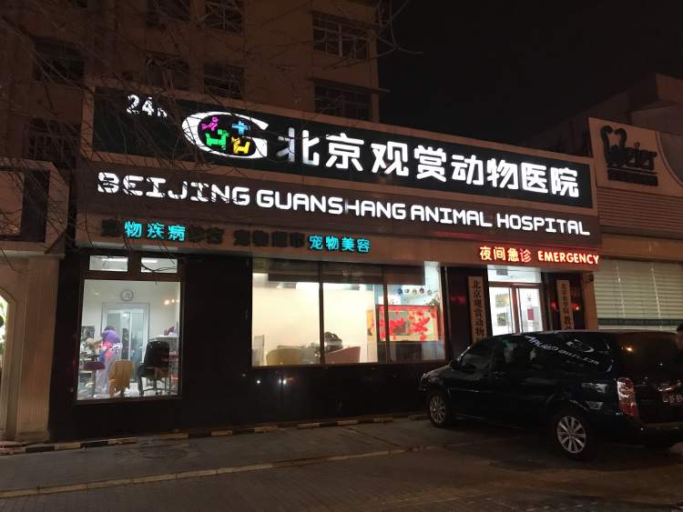 北京觀賞動物醫院