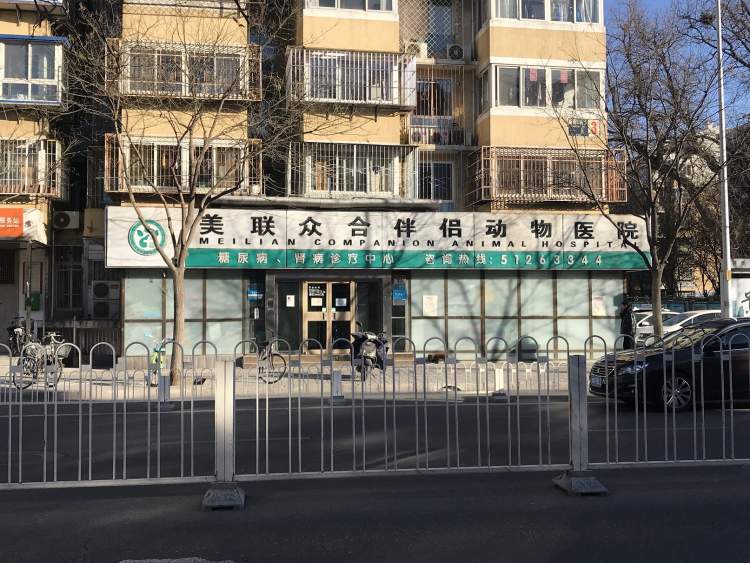 美聯眾合動物醫院伴侶分院