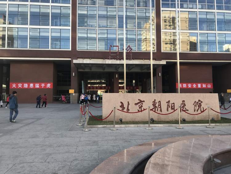 首都醫(yī)科大學附屬北京朝陽醫(yī)院