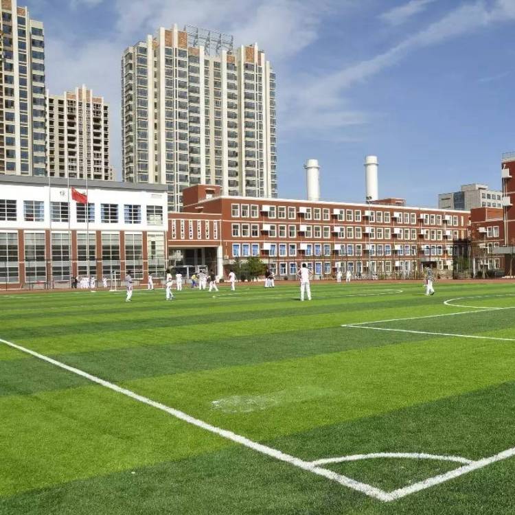 中國人民大學附屬中學朝陽學校