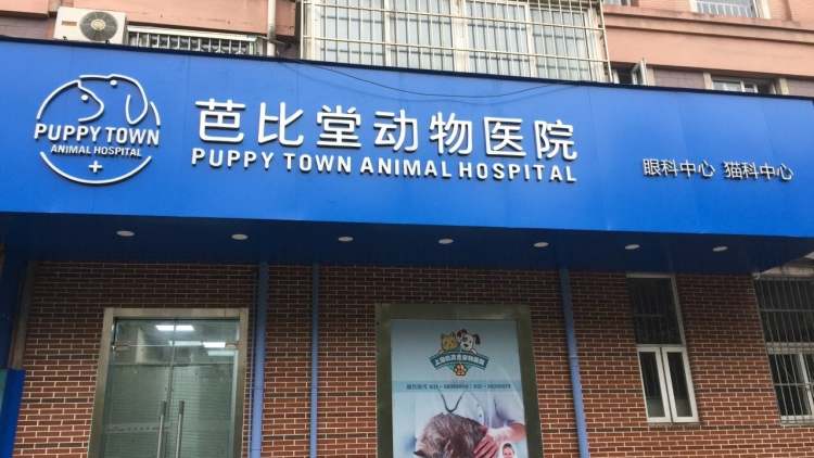 芭比堂動物醫院(上海機靈鬼分院)