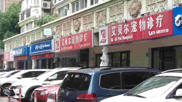 艾貝爾寵物醫院(玉佛寺店)