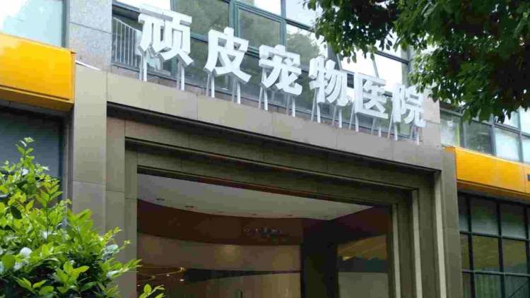 頑皮家族寵物醫院(虹橋路總院)