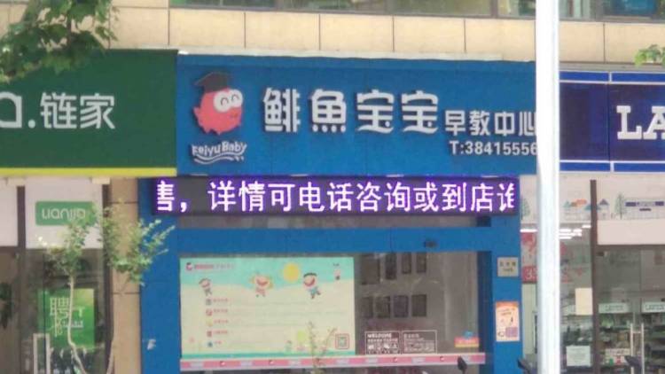 鯡魚寶寶
