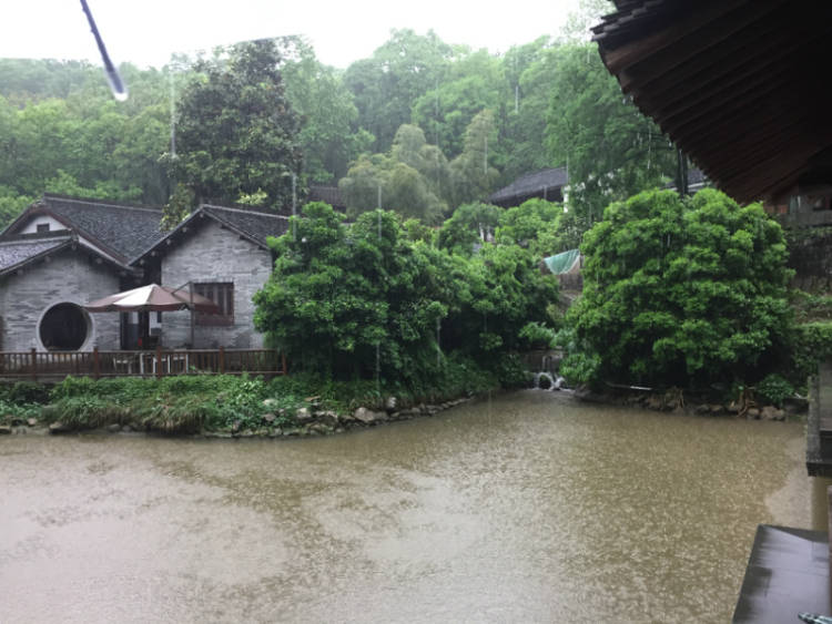 滌心沼