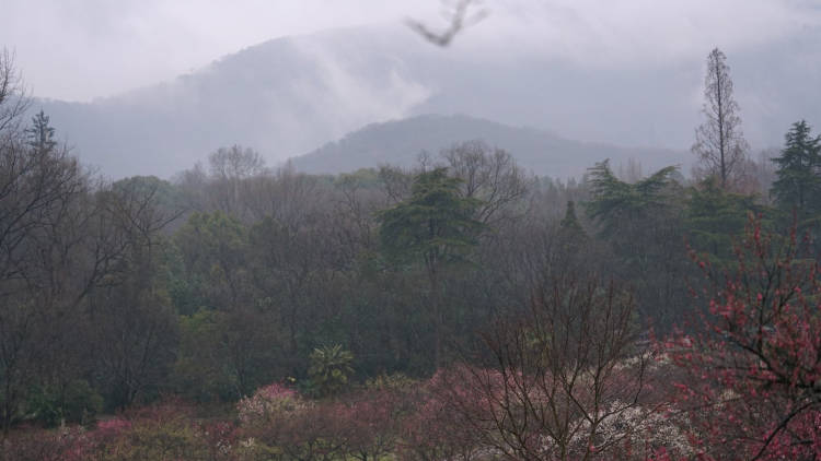 鐘山風(fēng)景區(qū)