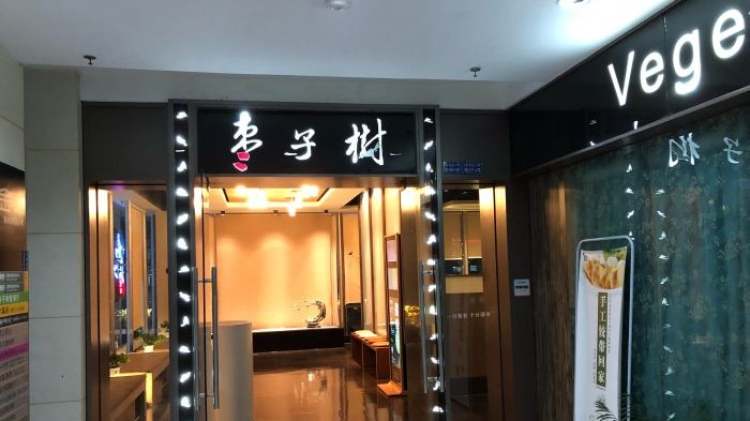 棗子樹