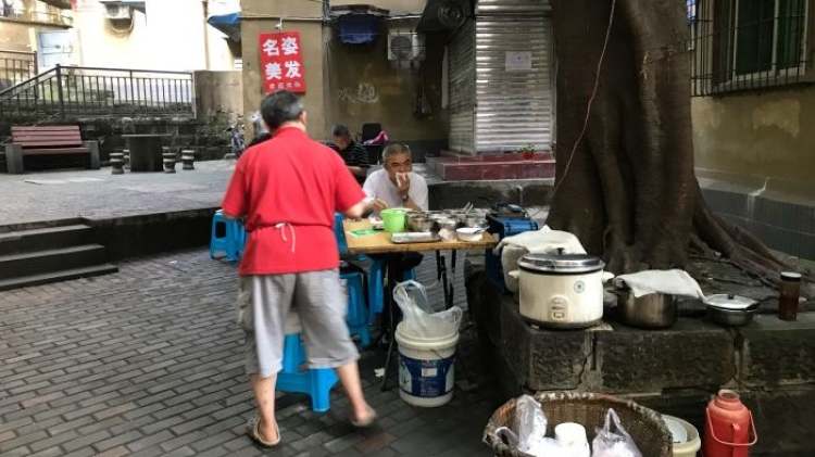 眼鏡油茶