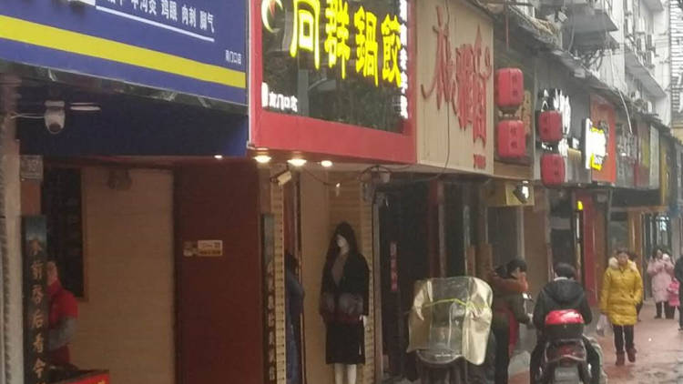 向群鍋餃