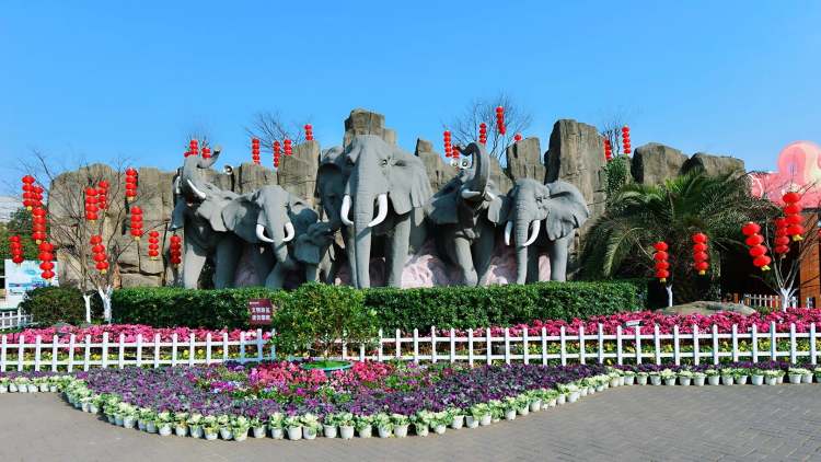 長沙生態動物園