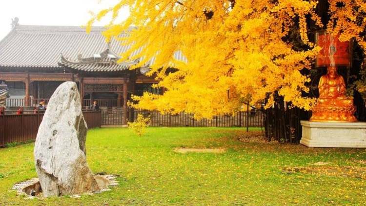古觀音禪寺