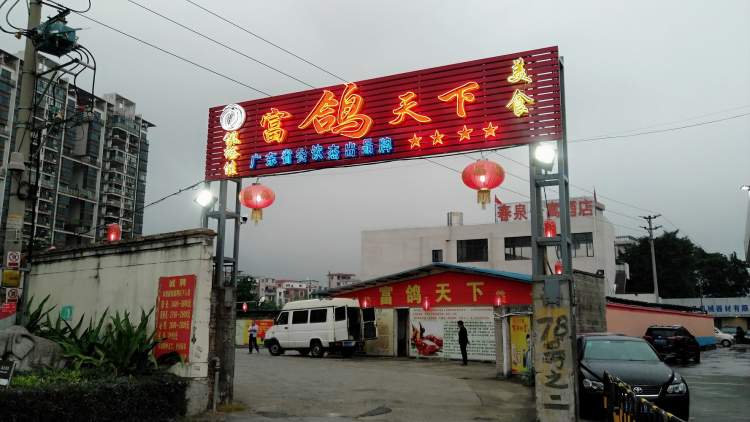 富鴿天下