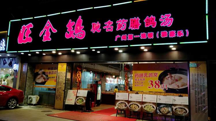 旺金鴿