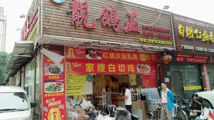 靚鴿正
