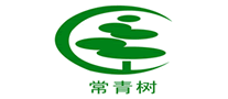 常青樹
