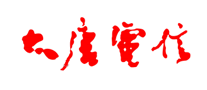 大唐電信DTT