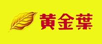 黃金葉