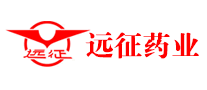 遠征