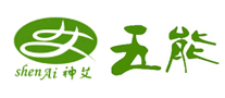 神艾-五能