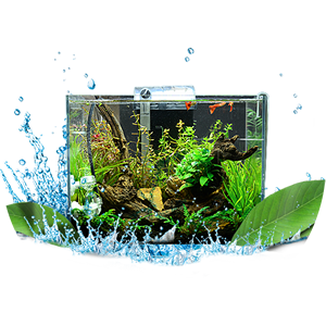 魚缸·水族箱十大品牌